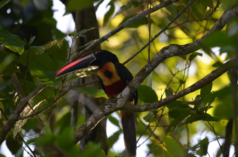 Vista Cascada