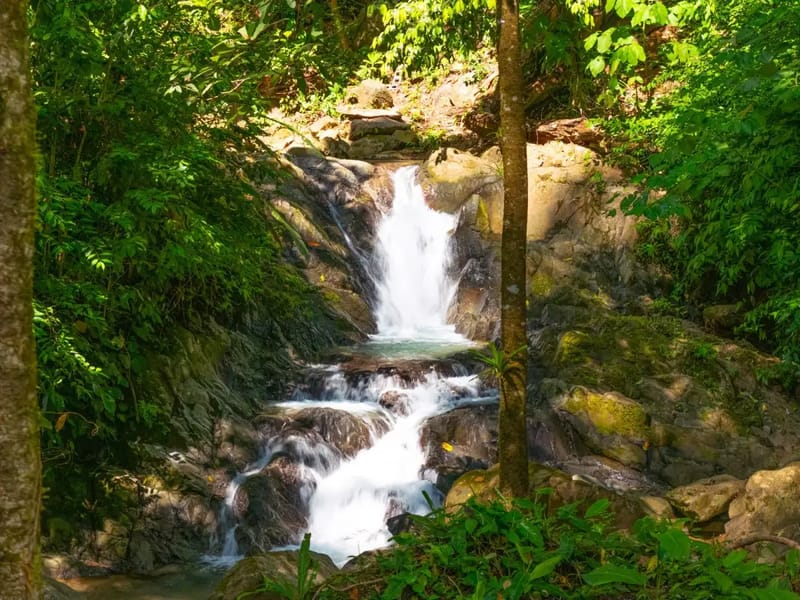 Vista Cascada