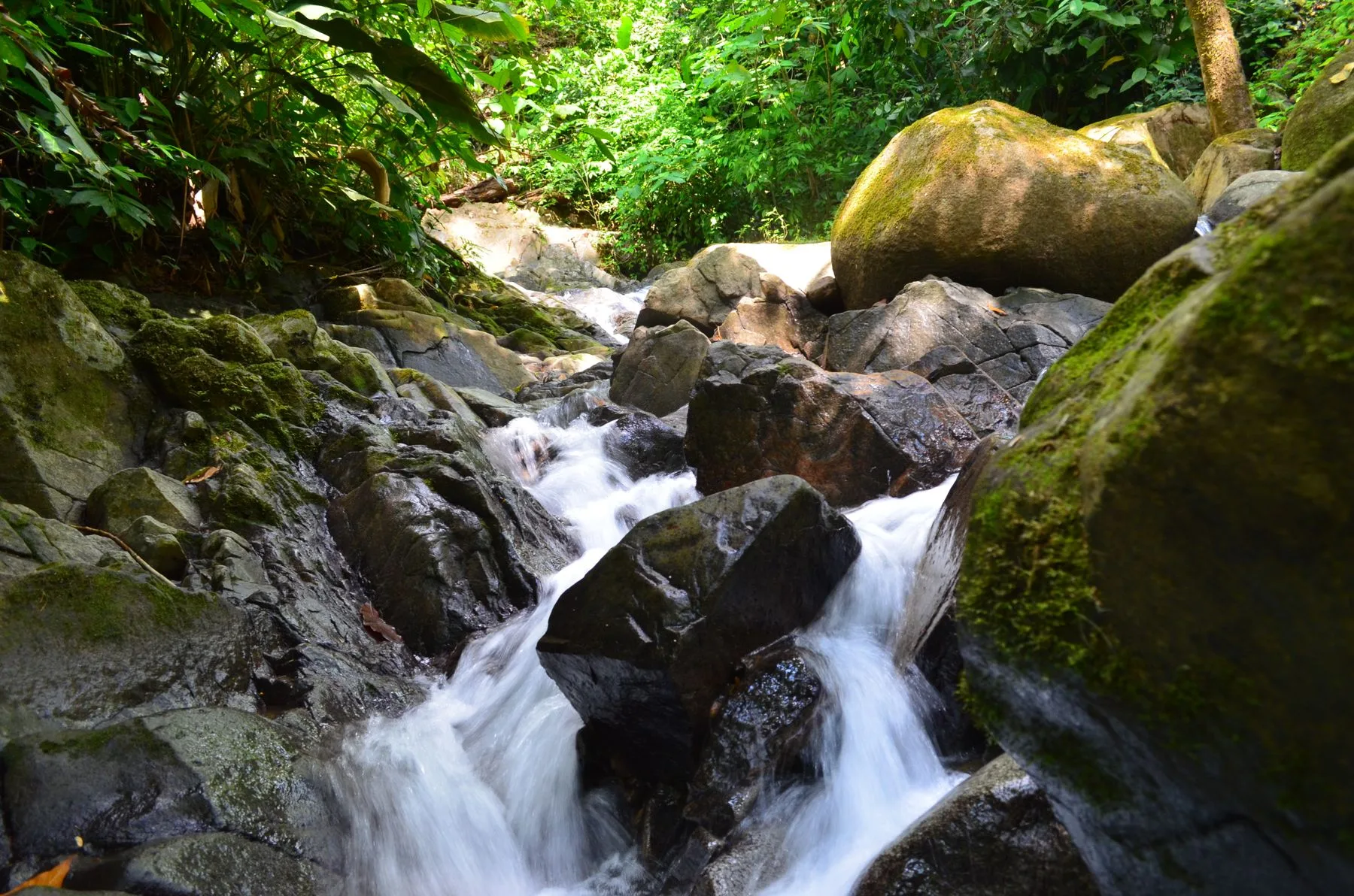 Vista Cascada