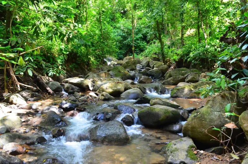 Vista Cascada