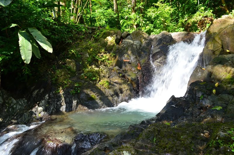 Vista Cascada
