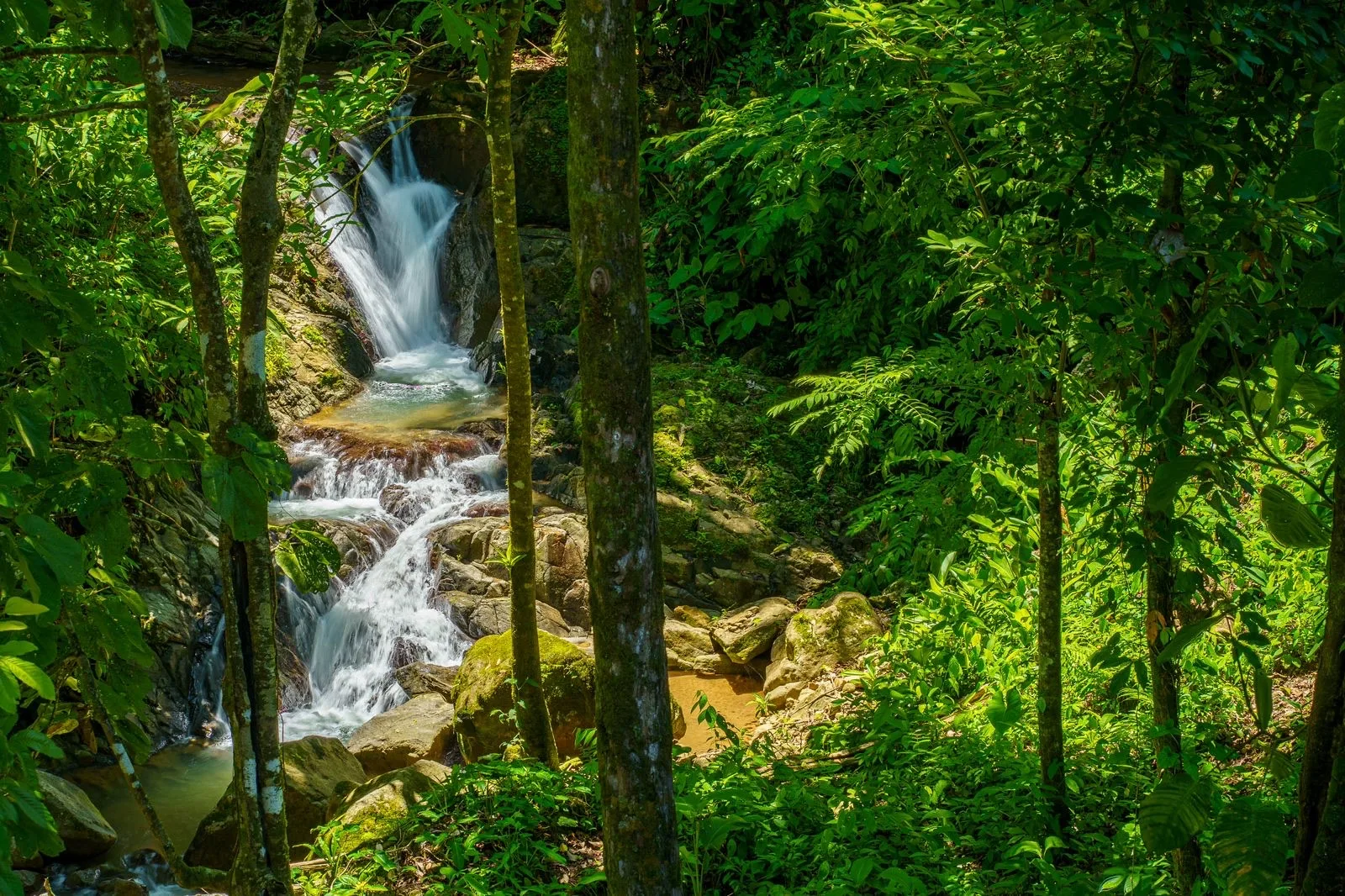 Vista Cascada