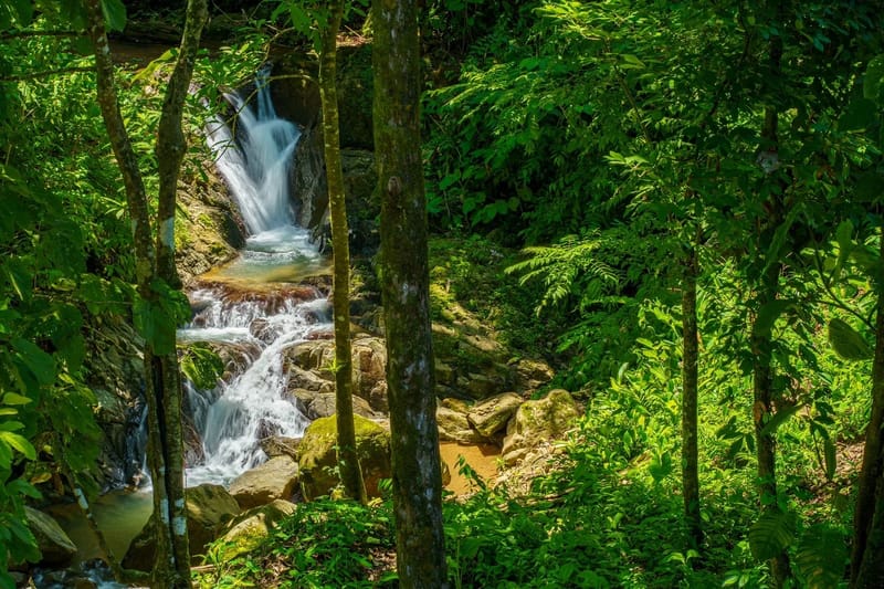 Vista Cascada