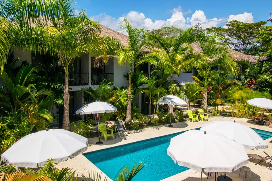 Una piscina rodeada de vegetación tropical y sombrillas blancas.