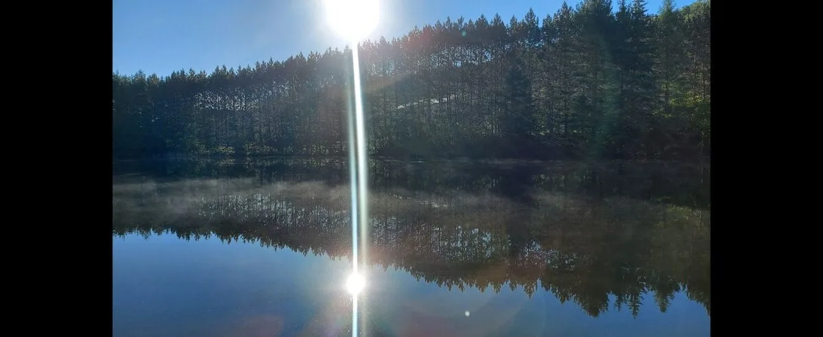 Un lago tranquilo refleja la orilla arbolada bajo la luz del sol.