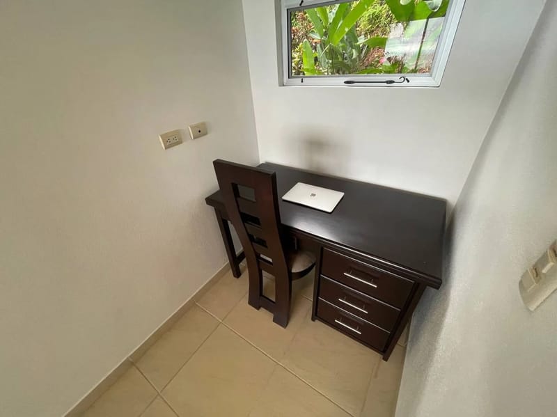 Casa Palm Breeze