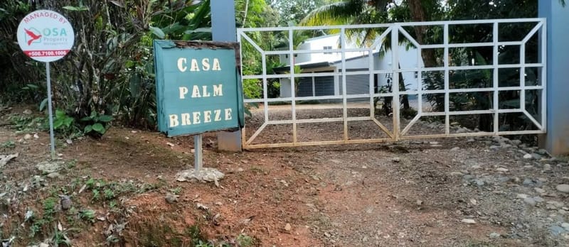 Casa Palm Breeze