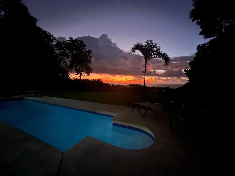 Casa Palm Breeze