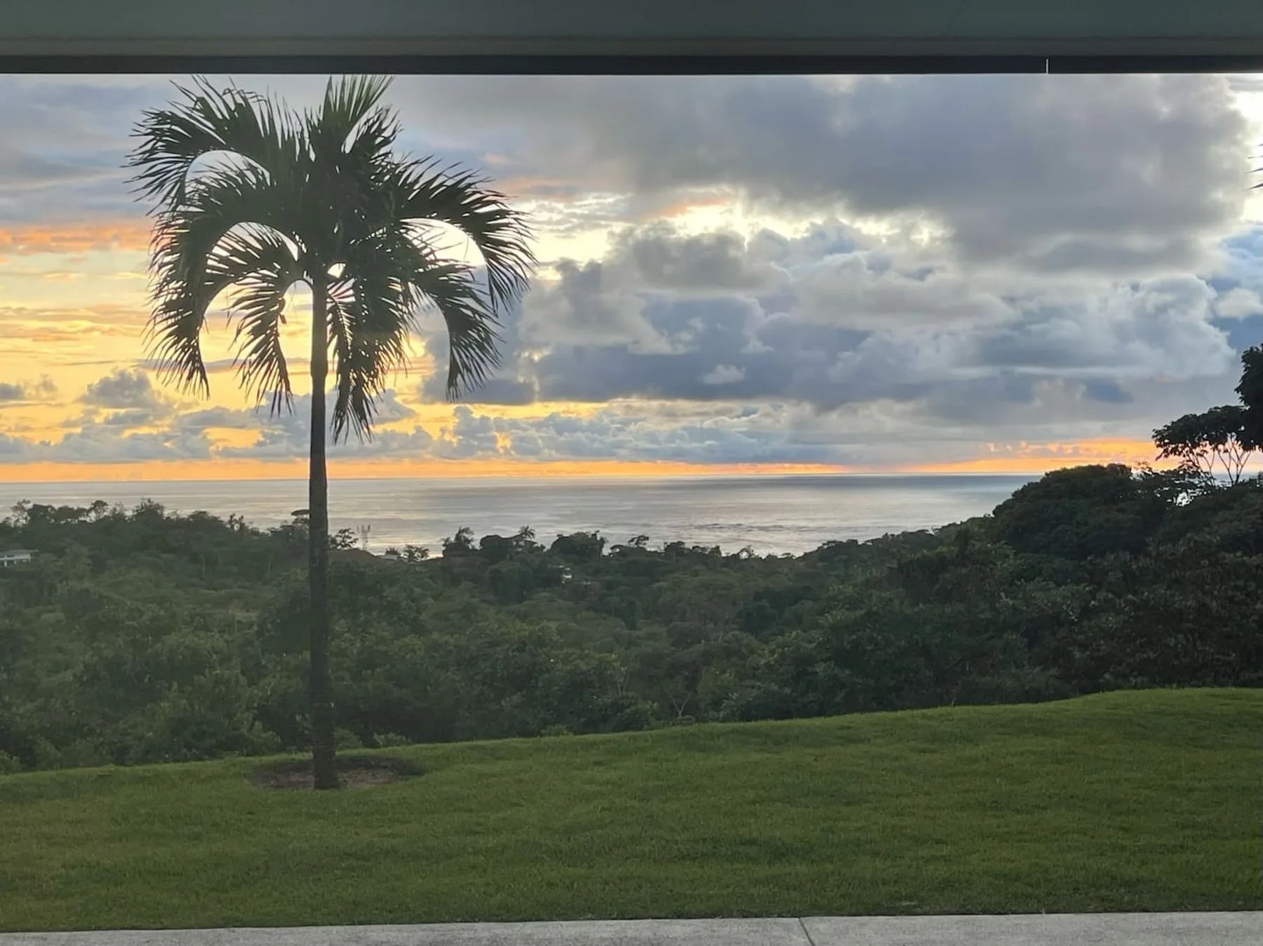 Casa Palm Breeze