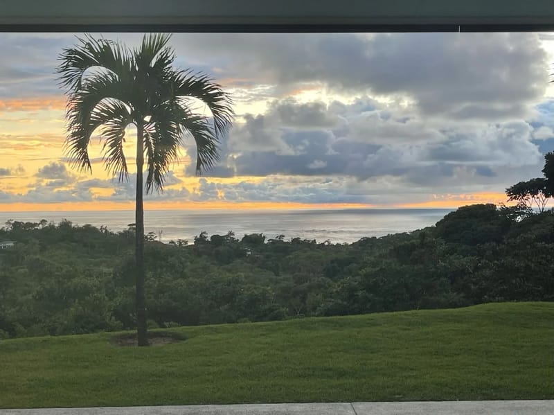 Casa Palm Breeze