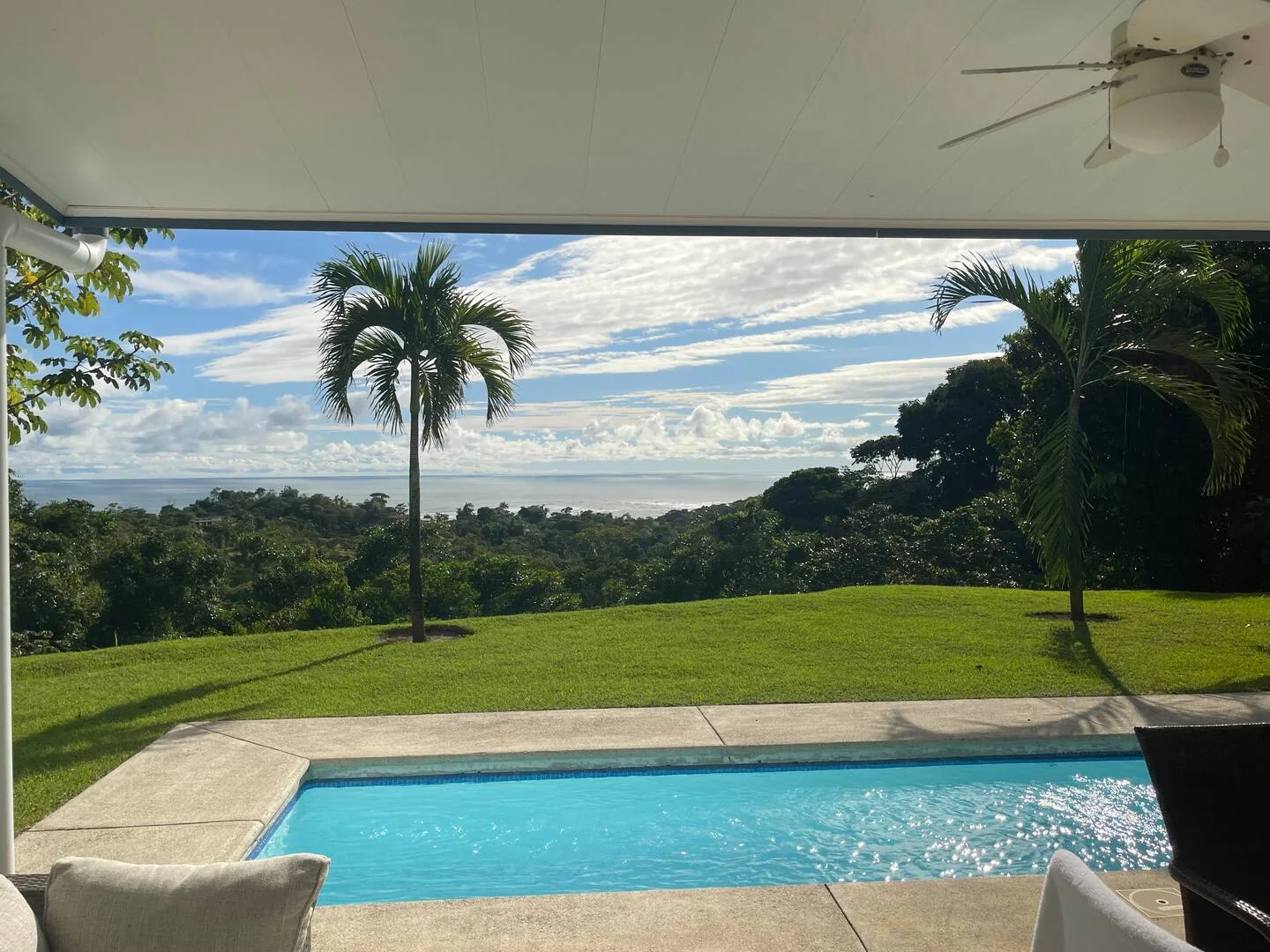Casa Palm Breeze