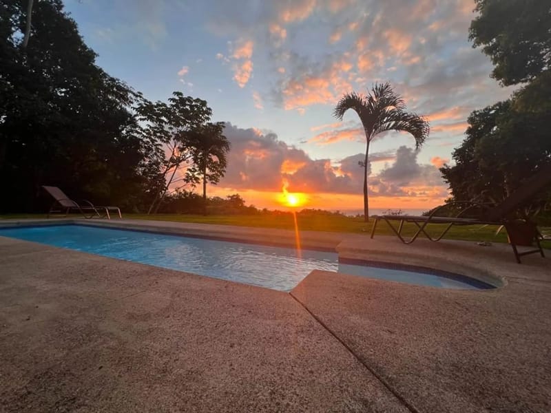 Casa Palm Breeze