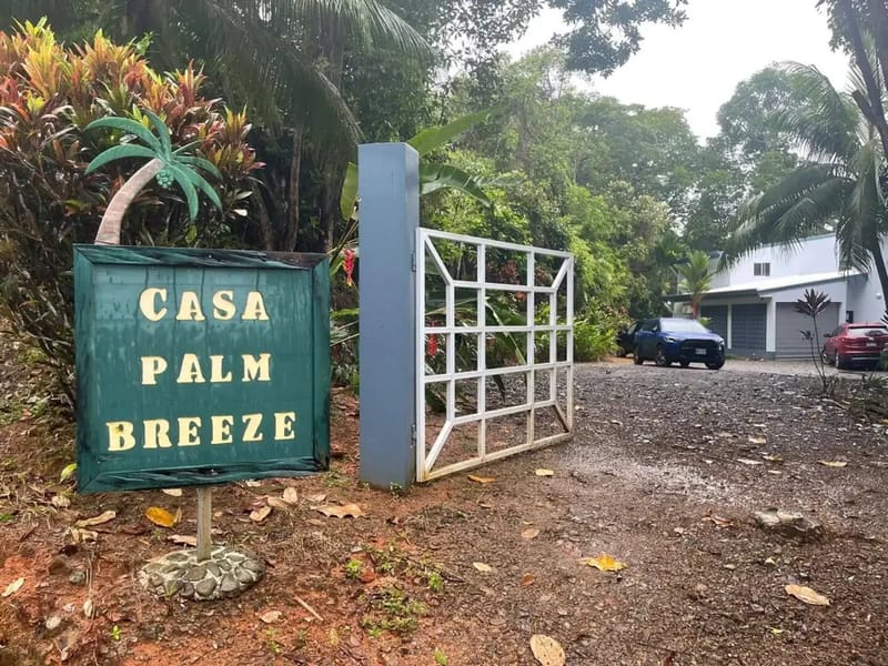 Casa Palm Breeze