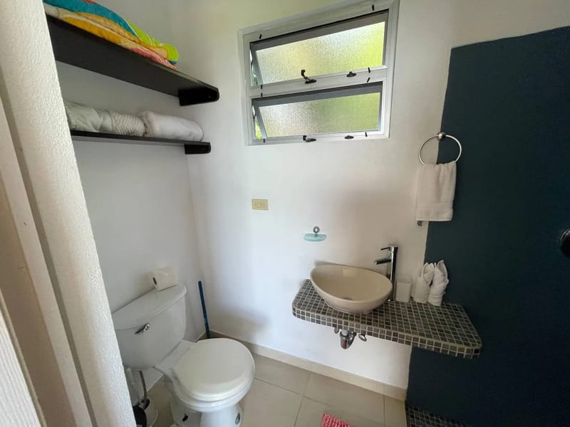 Casa Palm Breeze