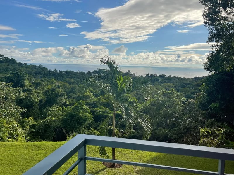 Casa Palm Breeze