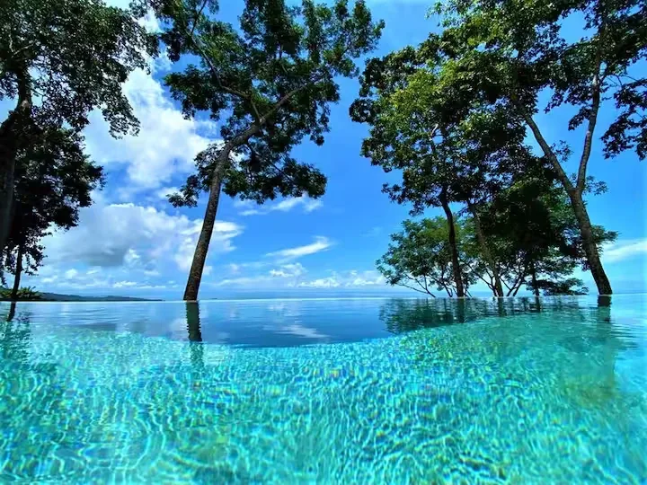 An outdoor swimming pool stretches toward trees beneath a bright blue sky.