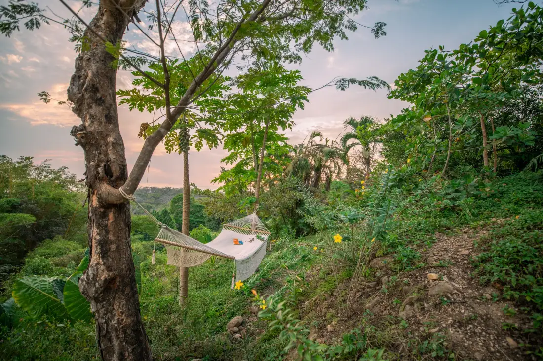 Banana Paradise · 4