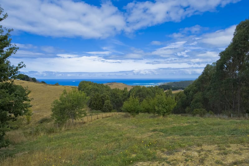 Grounds and distant coast