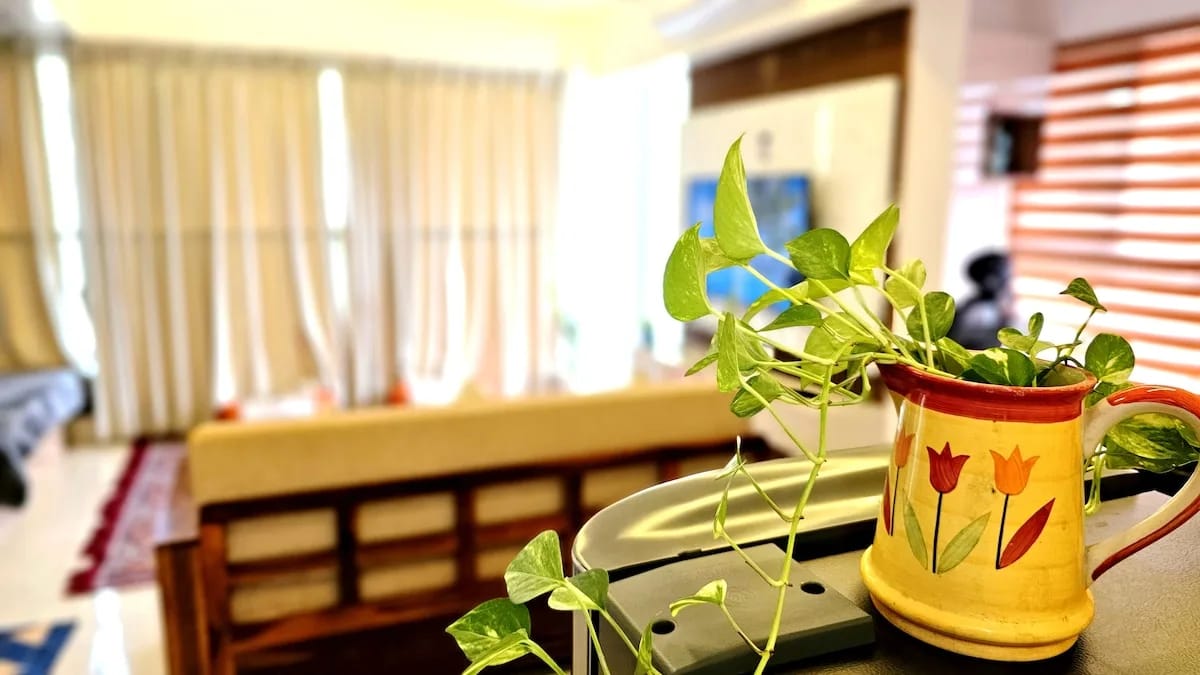 Rohida 801 | One Cozy Stay