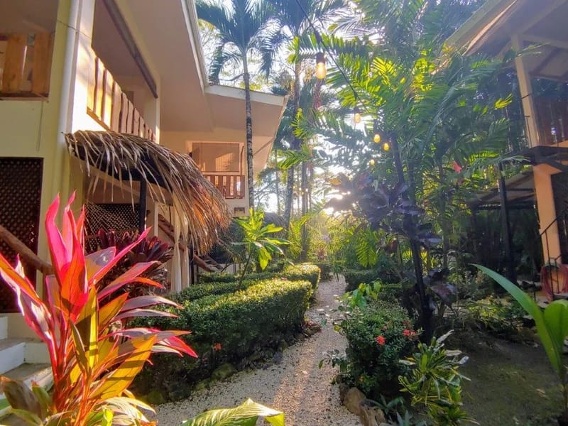 Jardín y espacios exteriores