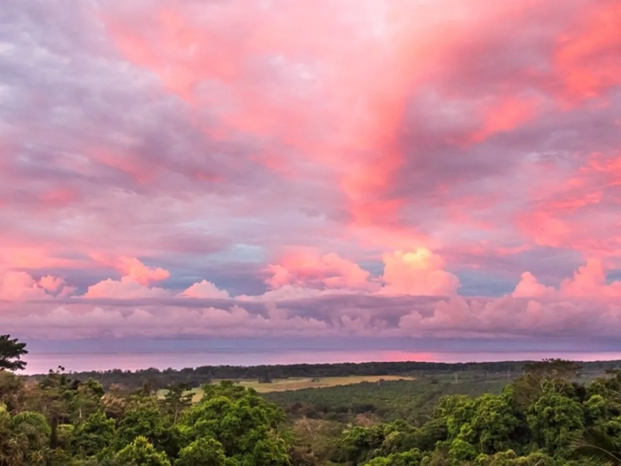 A broad landscape of green trees beneath a sky filled with pink clouds.