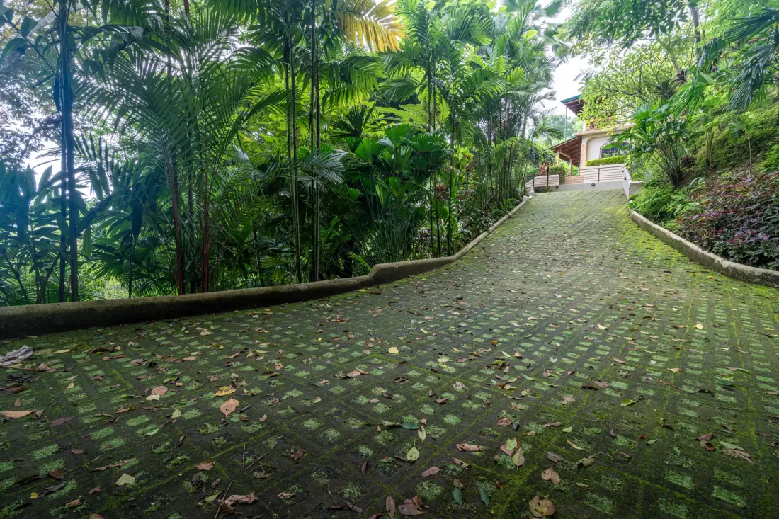 A paved garden path winds through dense tropical greenery toward a building.