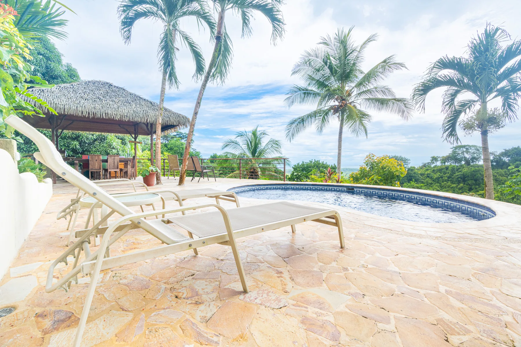 An outdoor pool and paved deck are surrounded by palm trees and lounge chairs.