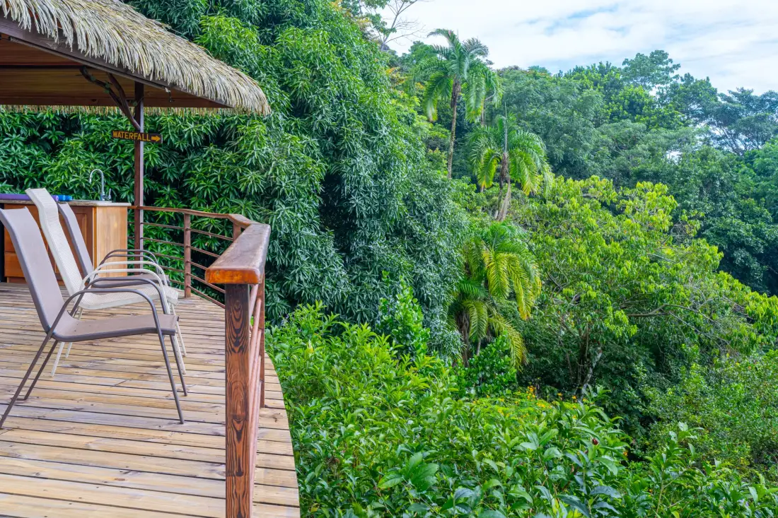 A wooden outdoor deck with seating overlooks dense green foliage.