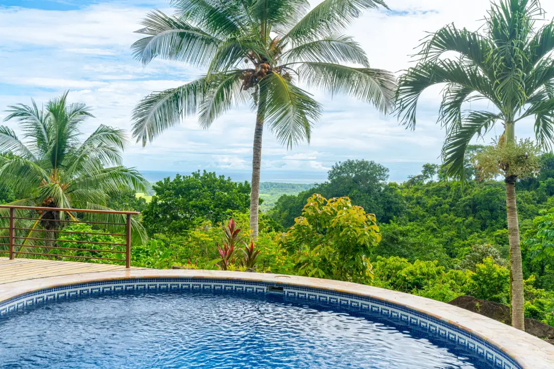 A curved swimming pool overlooks lush greenery and palm trees.