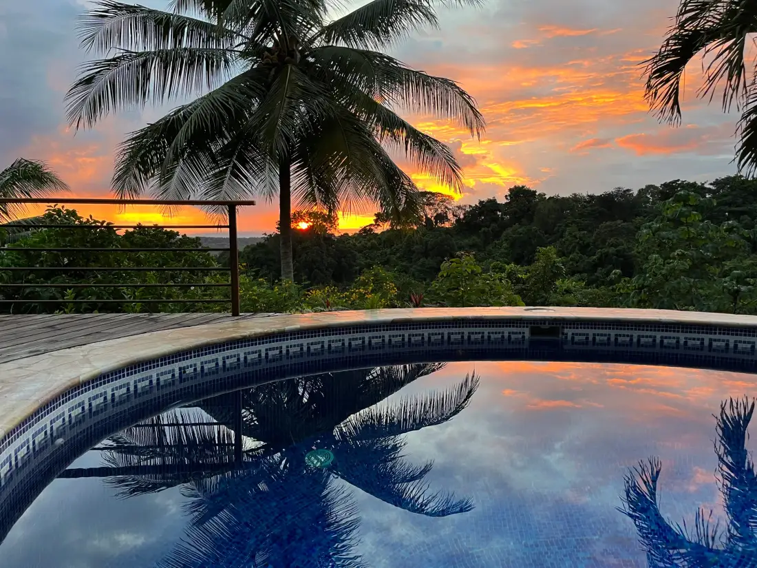 An outdoor pool reflects palm trees beneath a colorful sunset sky.
