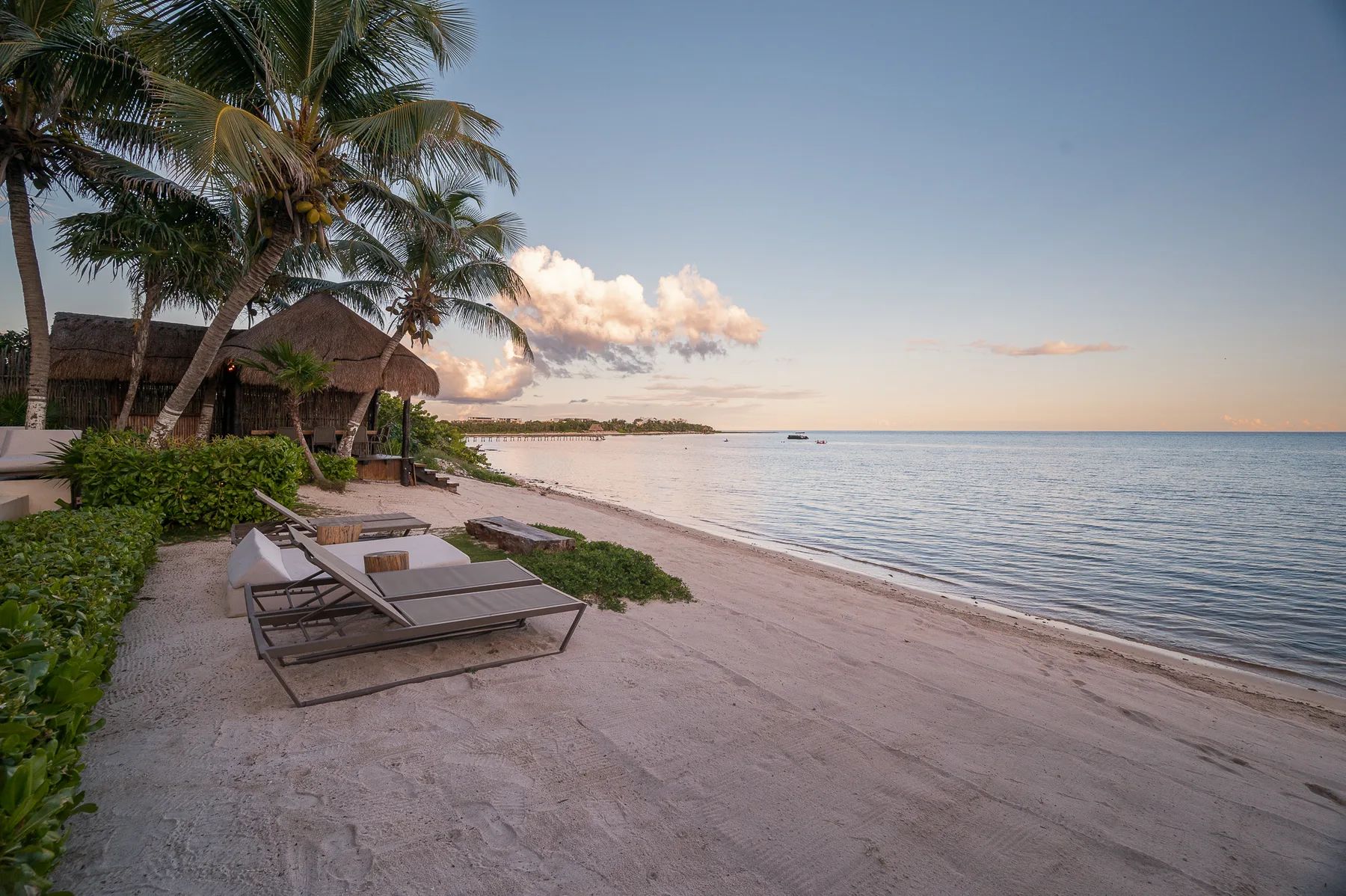 Beach and loungers