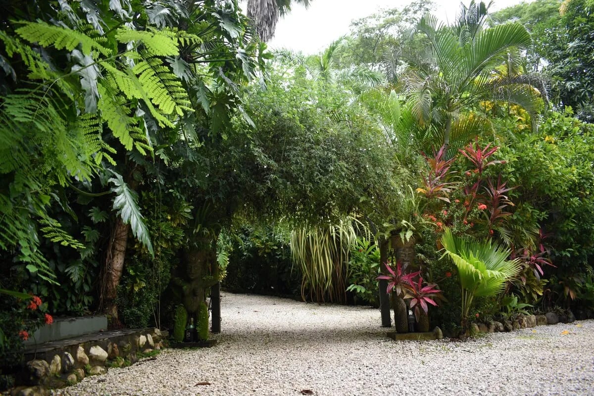 Garden and grounds
