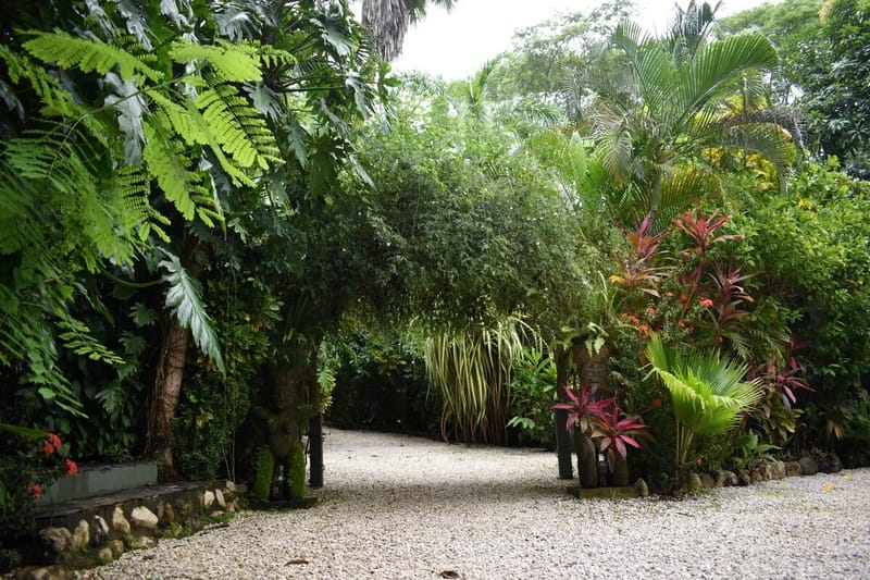 Garden and grounds