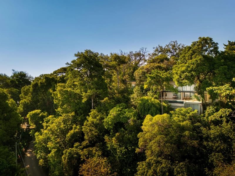 Colíbri Sur · 2. The modern multi-level villa, featuring extensive glass walls and an outdoor pool terrace, is surrounded by a dense canopy of tropical trees under a bright blue sky.