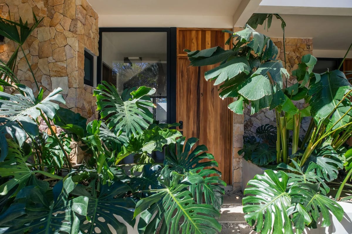 Casa de Sueños Molino #5 · 4