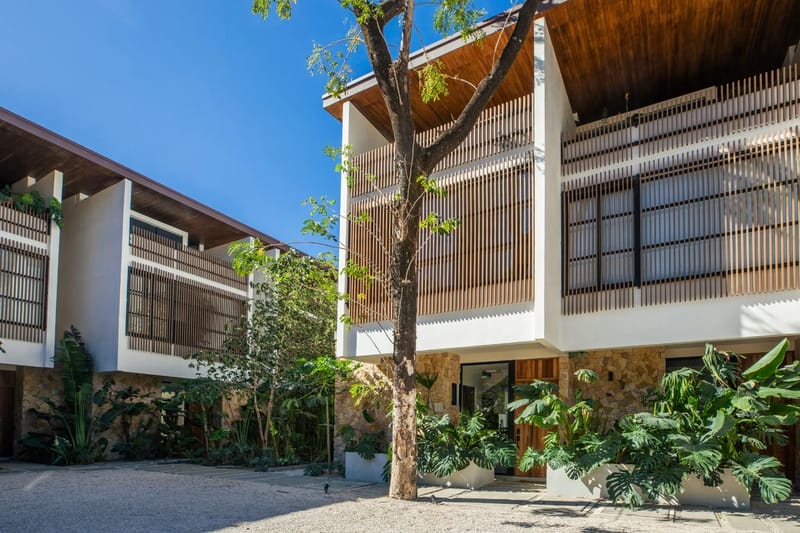 Casa de Sueños Molino #5 · 5