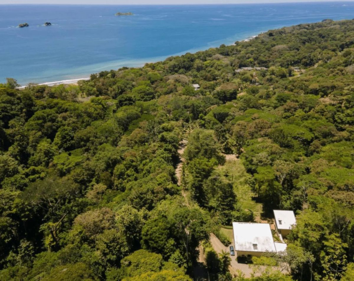 Ballena Bliss Estate
