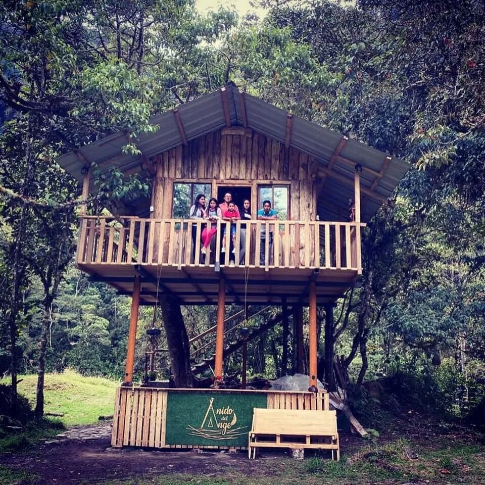 A raised wooden cabin with a balcony stands among trees.