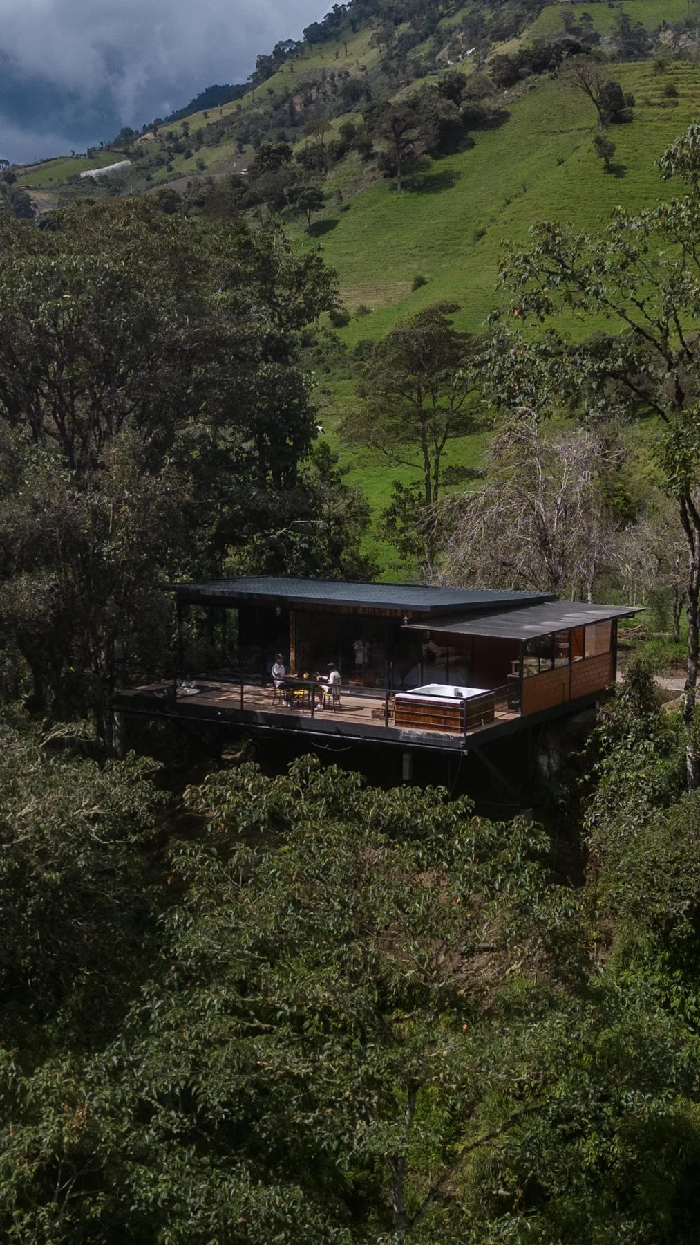 A modern cabin sits among dense trees beneath a green hillside.
