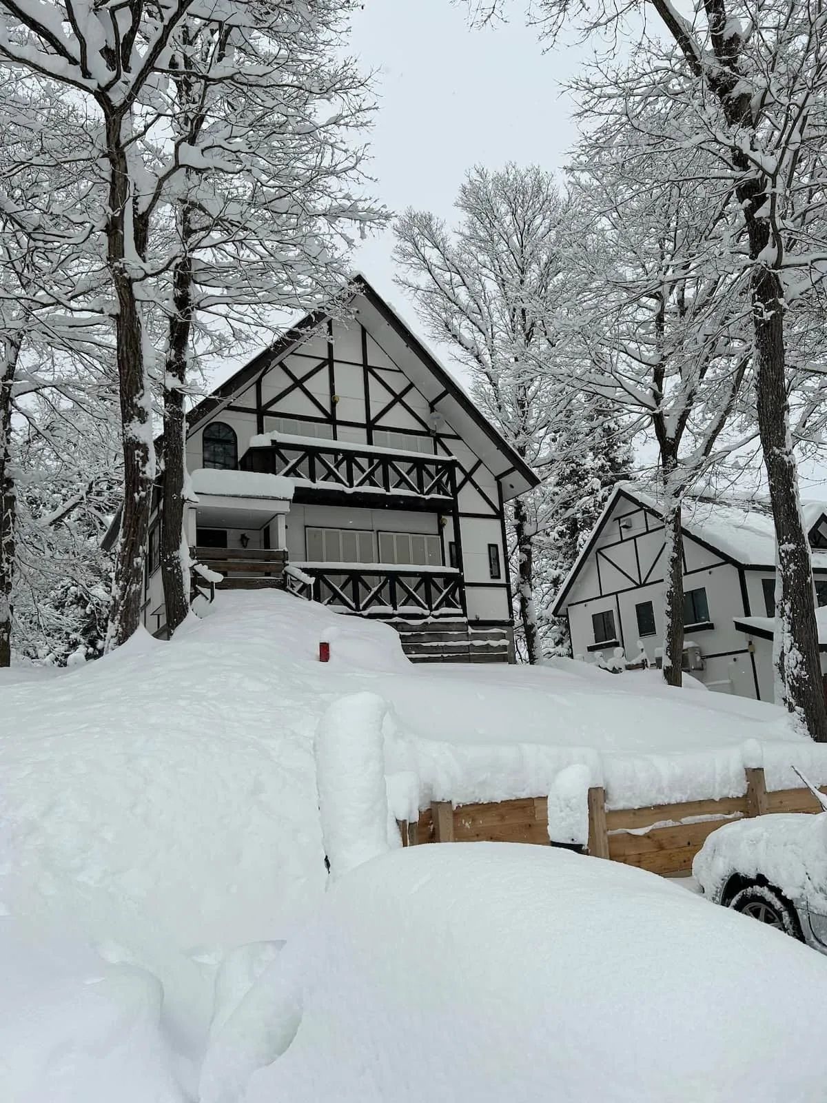 Chalet in winter