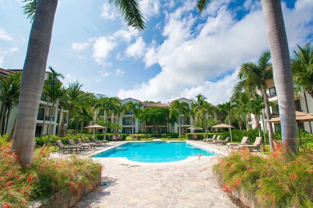 Una piscina está rodeada de palmeras y jardines.
