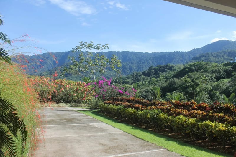 Casa Hacienda Jaguar · 26. A paved driveway winds past vibrant tropical foliage, opening to panoramic views of sunlit, jungle-covered mountains.