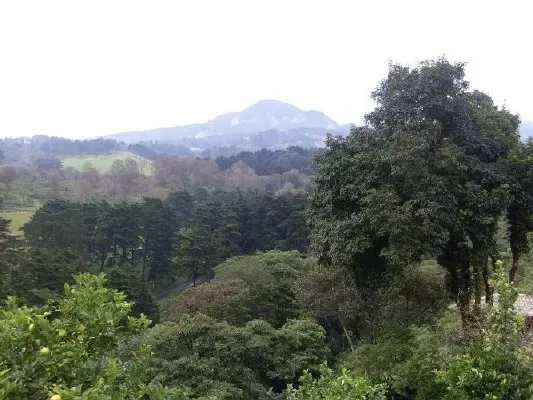 A green landscape with wooded hills and a distant mountain under a cloudy sky.