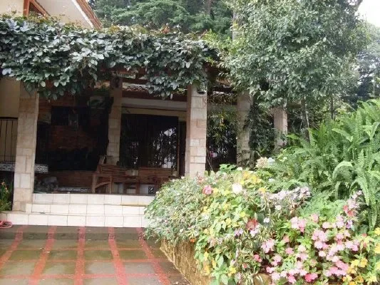 A garden patio sits beneath a leafy pergola, bordered by flowering plants.