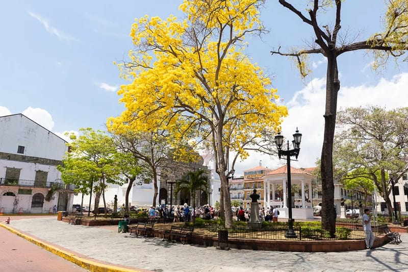 The Plaza Catedral Views by AcoModo @Casco Viejo