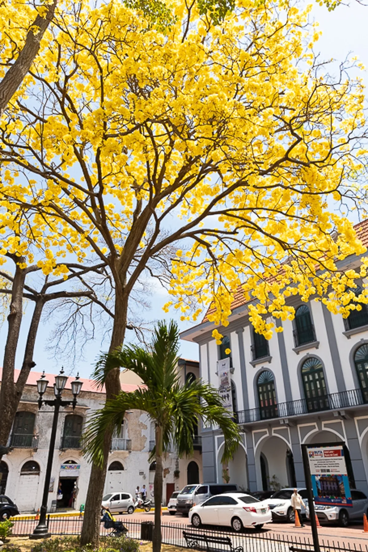 The Plaza Catedral Views by AcoModo @Casco Viejo