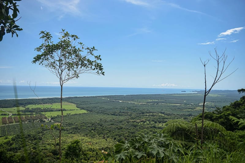 Bendecida