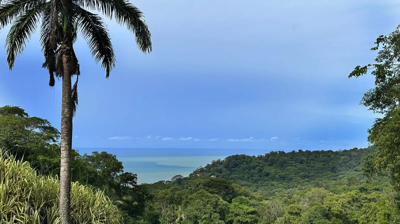 Casa de Palmas
