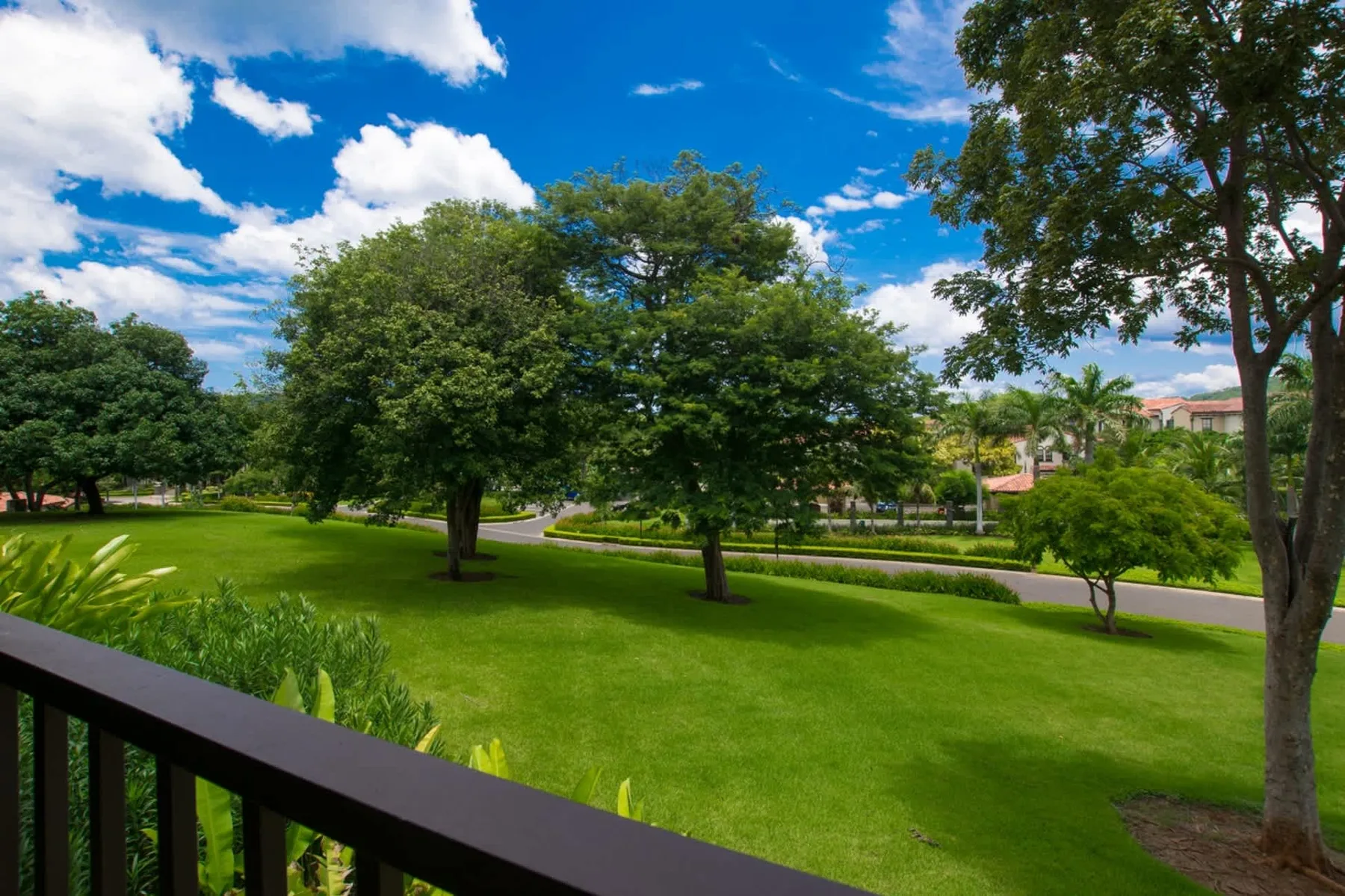 A green park with mature trees and a paved path, viewed from a railing.