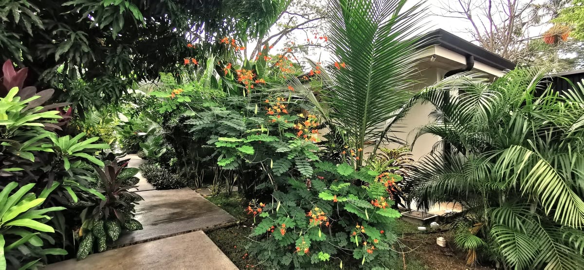 Jardín y espacios exteriores